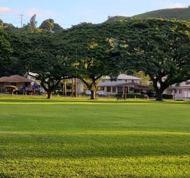 Soccer Field image 2