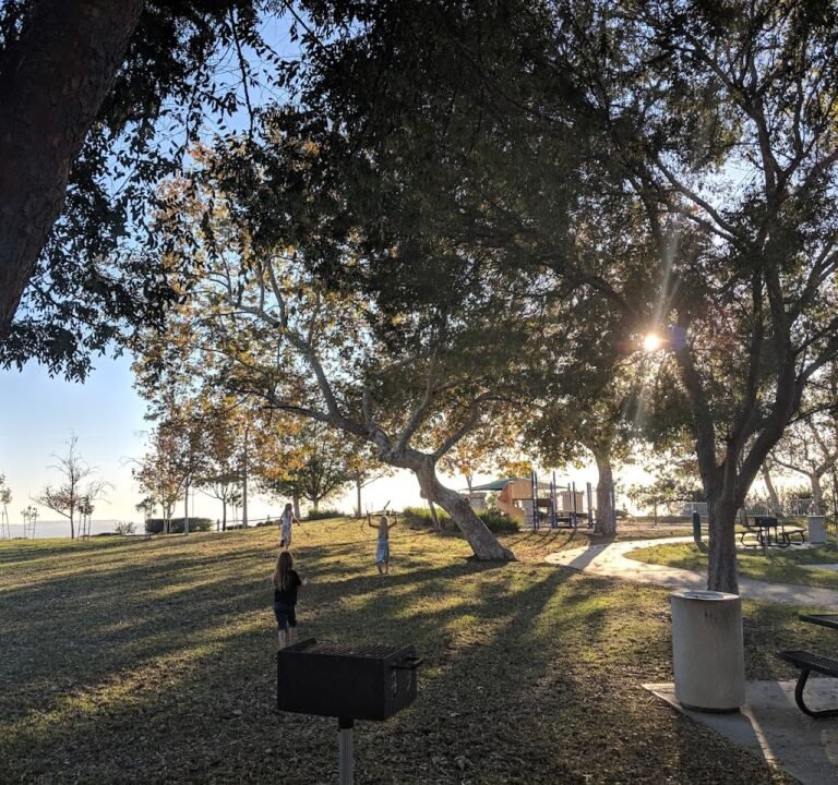 Soccer Field image 2
