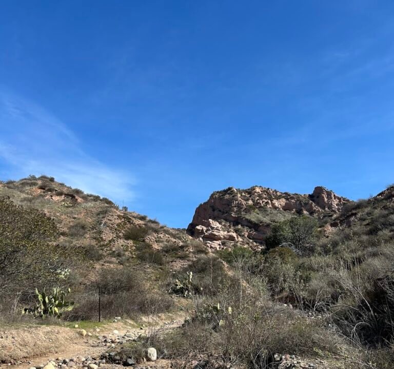 Soccer Field image 3