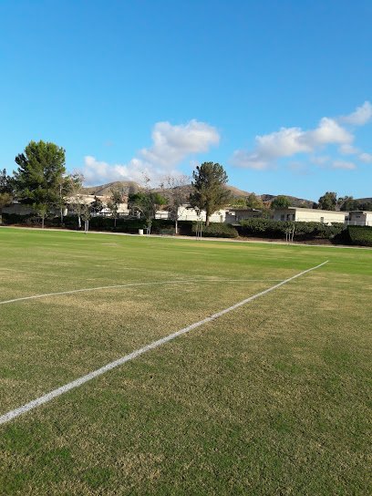 Soccer Field image 1