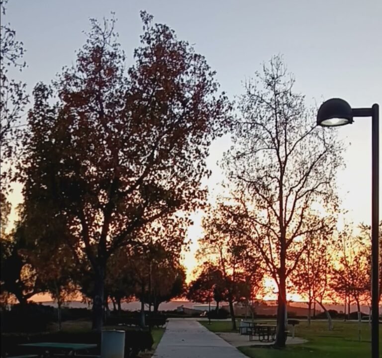 Soccer Field image 4