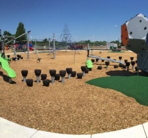 Soccer Field image 2