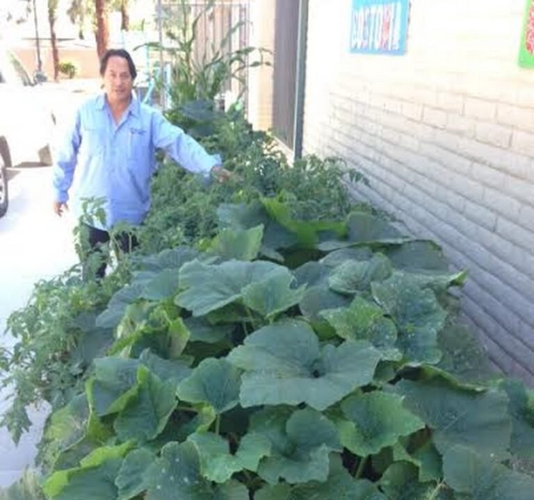 Soccer Field image 3