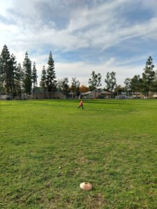 Soccer Field image 1