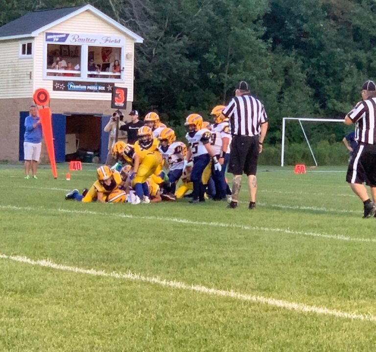 Soccer Field image 2