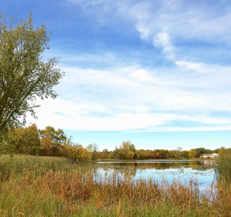 Soccer Field image 2