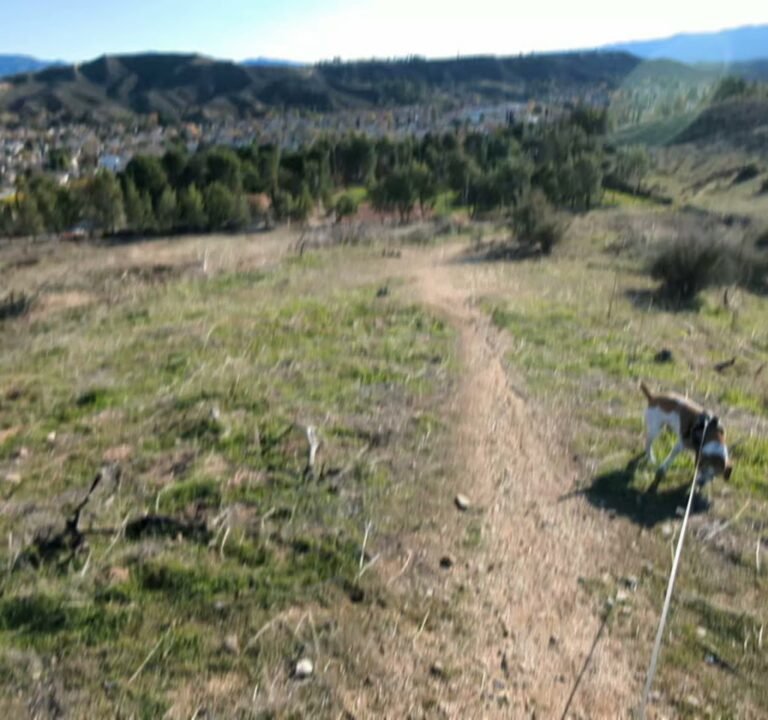 Soccer Field image 4