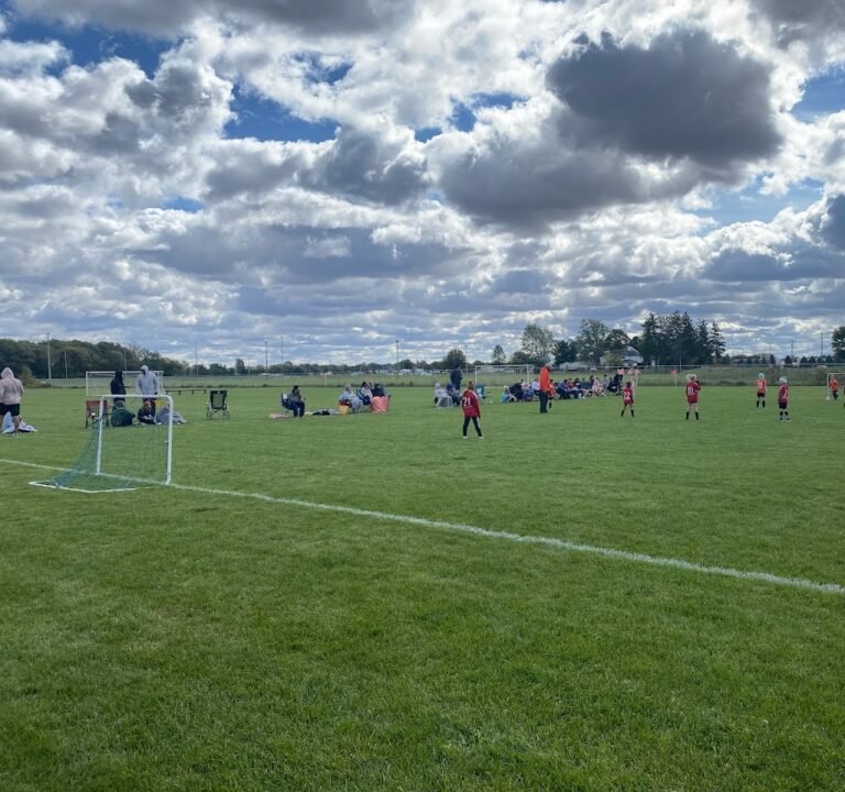 Soccer Field image 2