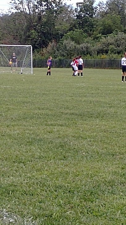 Soccer Field image 1