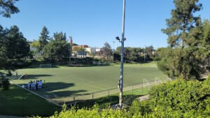 Soccer Field image 1