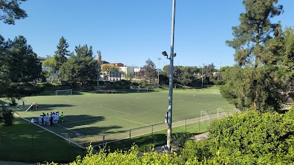 Soccer Field image 1