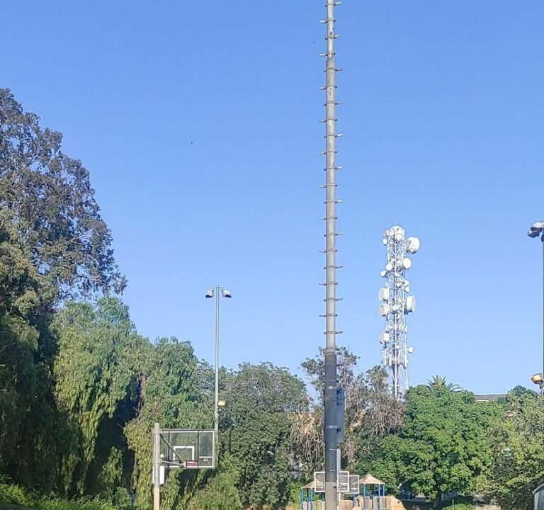 Soccer Field image 4