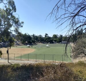 Soccer Field image 2