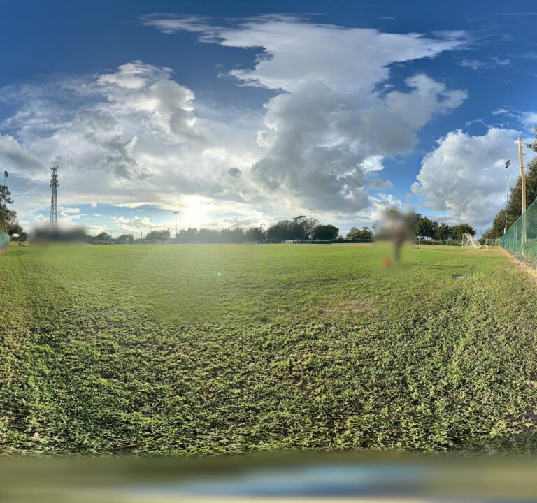 Soccer Field image 3