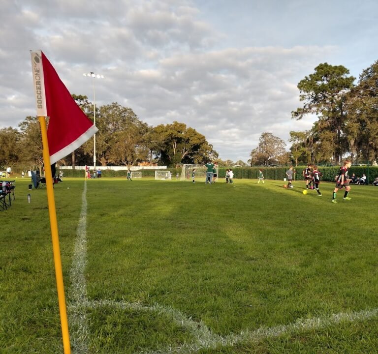 Soccer Field image 2