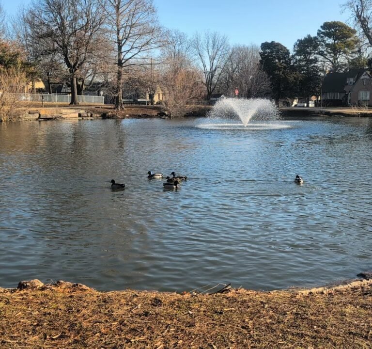 Soccer Field image 3