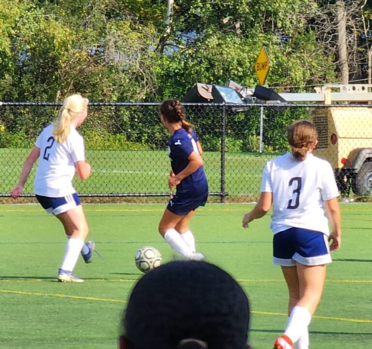 Soccer Field image 3