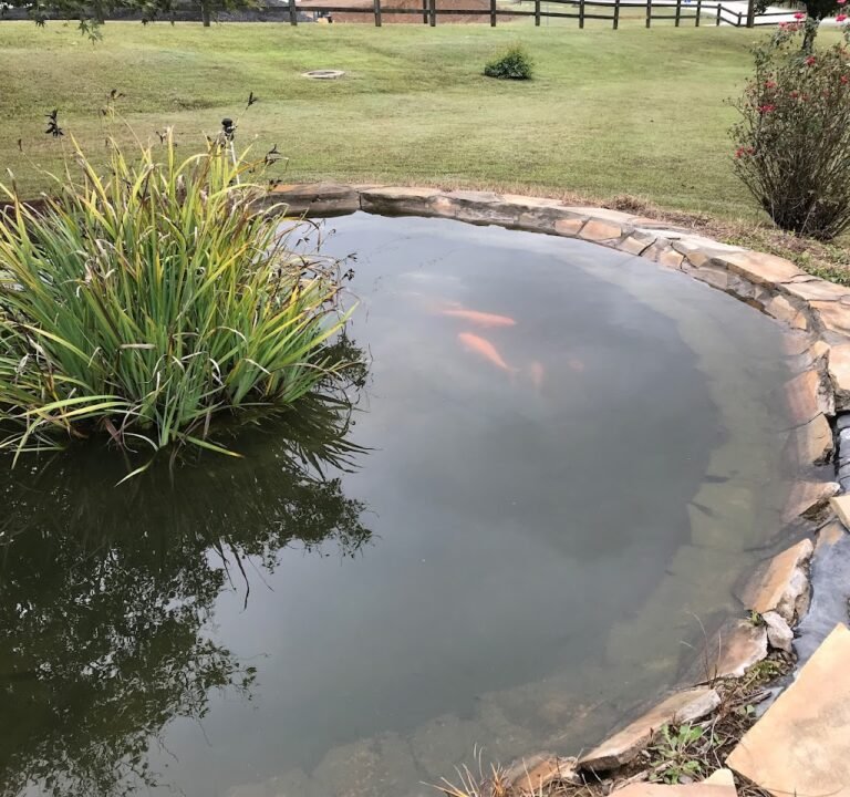 Soccer Field image 2