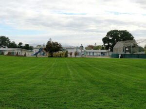 Soccer Field image 1