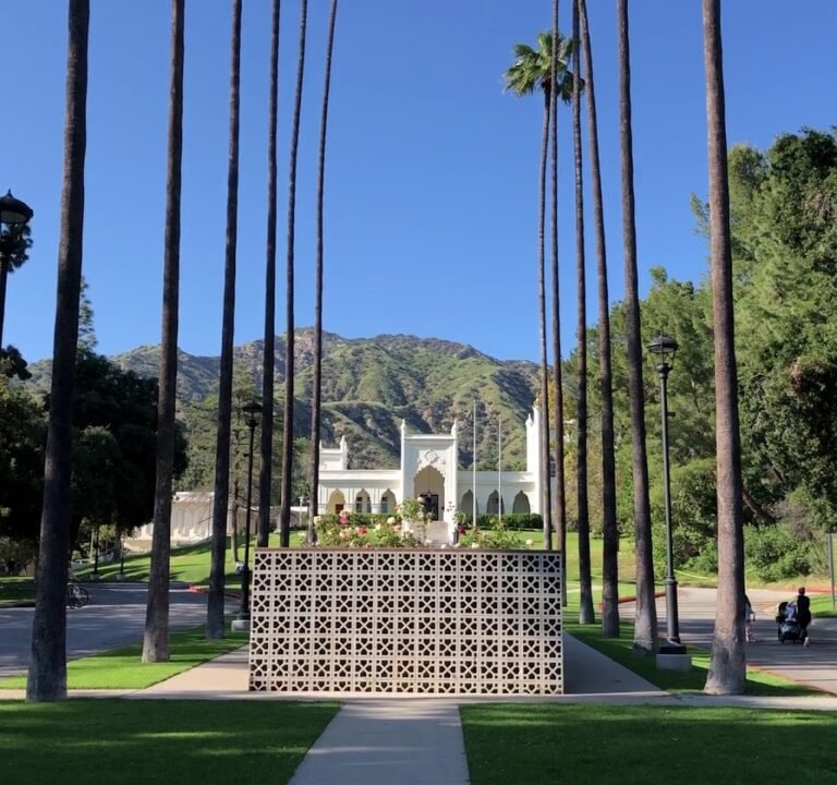 Soccer Field image 4