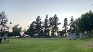 Soccer Field image 1
