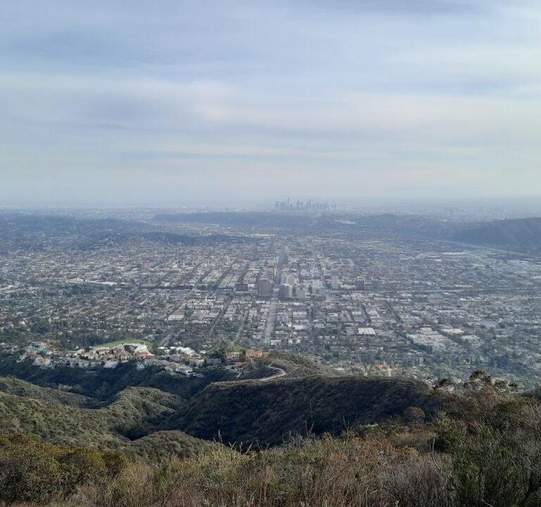 Soccer Field image 3