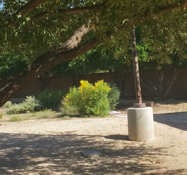 Soccer Field image 4