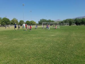 Soccer Field image 1