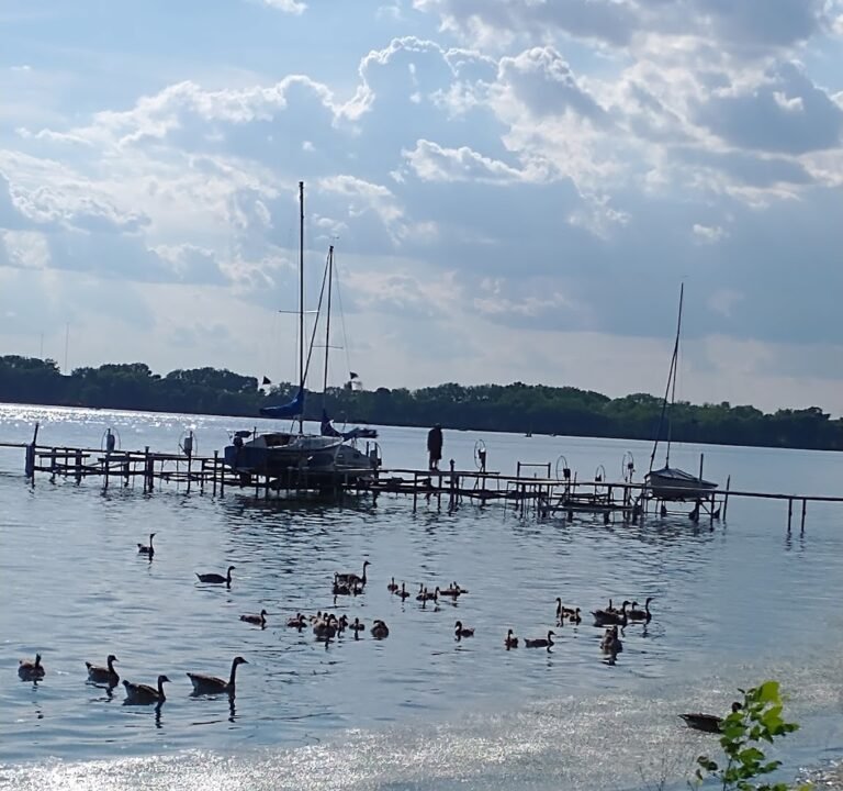 Soccer Field image 2