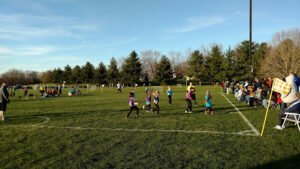 Soccer Field image 1