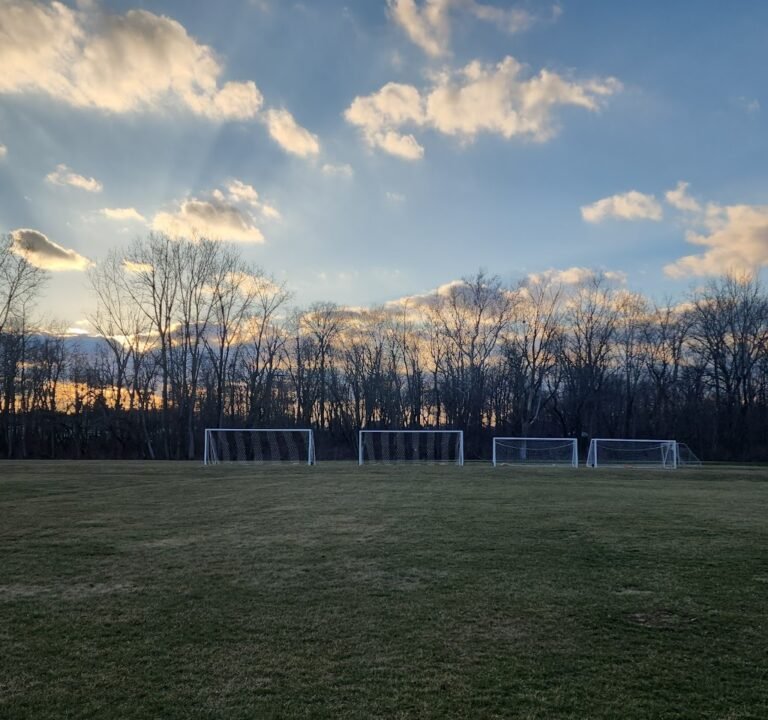 Soccer Field image 2