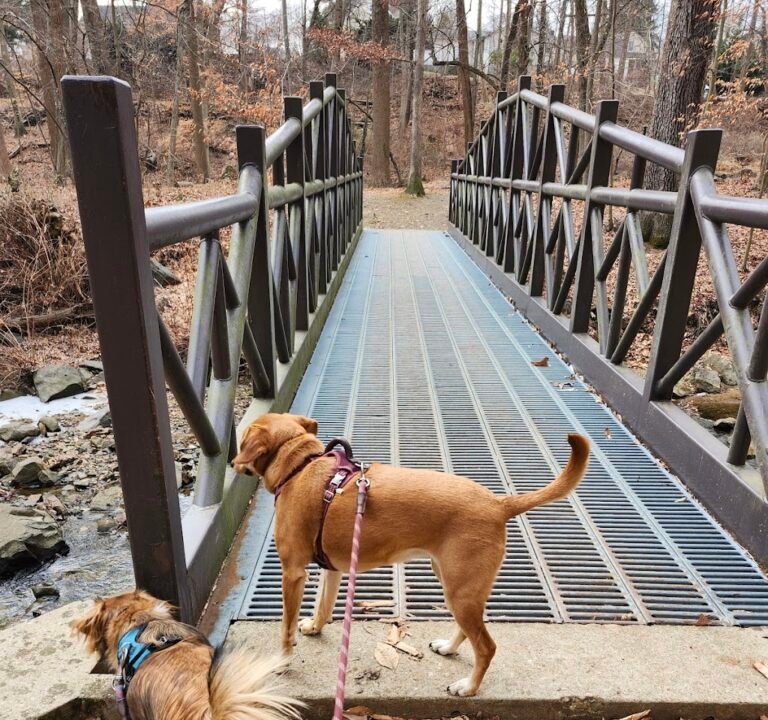 Soccer Field image 3