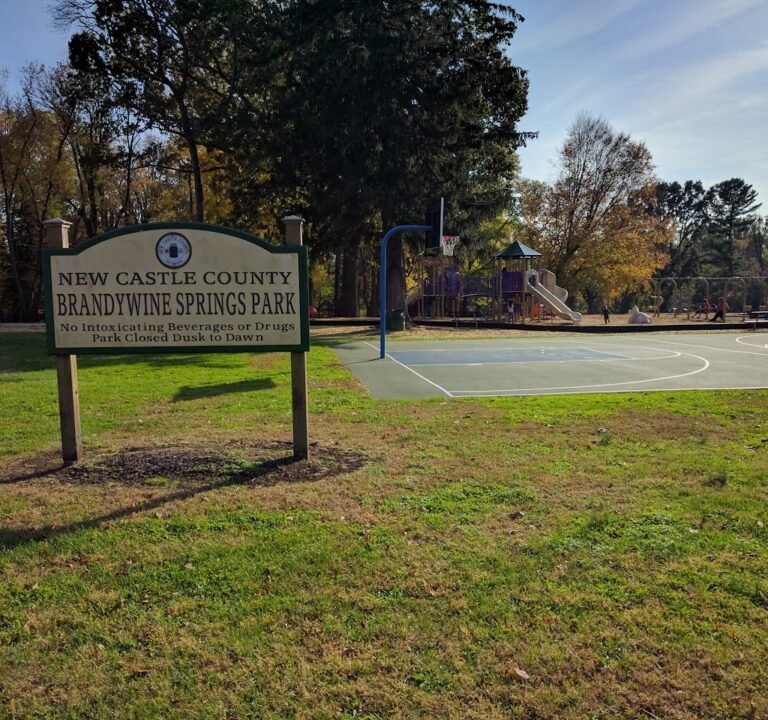 Soccer Field image 2