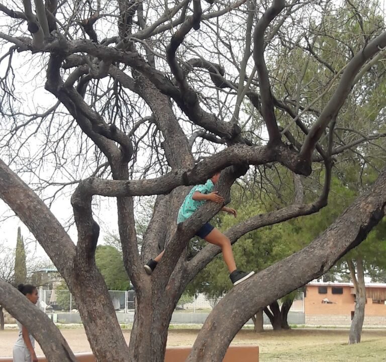Soccer Field image 2