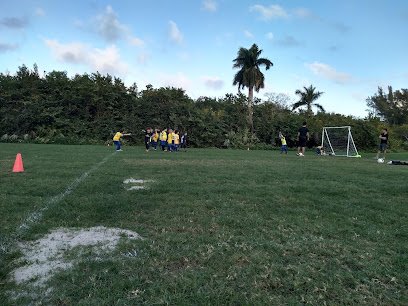 Soccer Field image 1