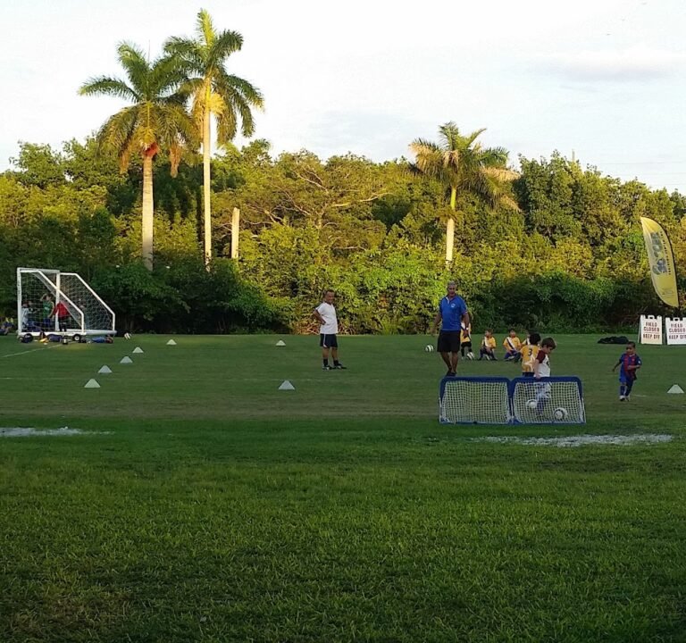 Soccer Field image 2