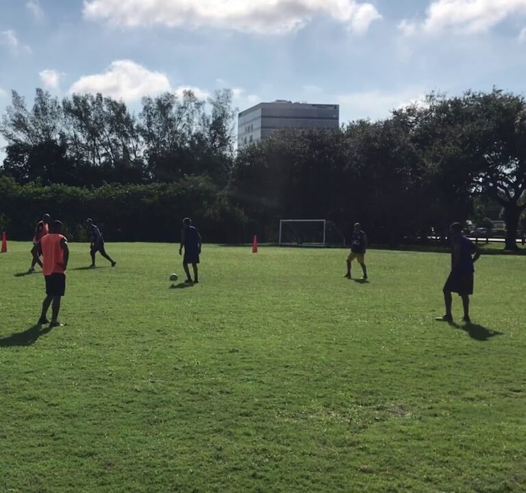 Soccer Field image 3