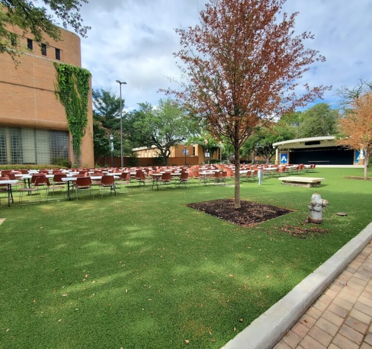 Soccer Field image 2