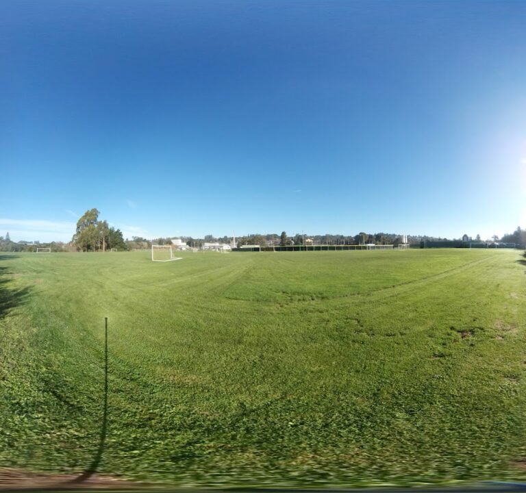Soccer Field image 2