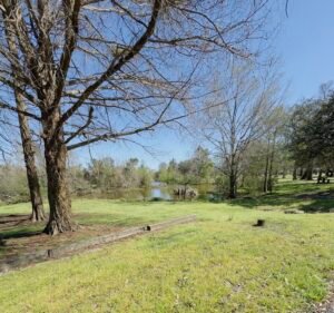 Soccer Field image 3