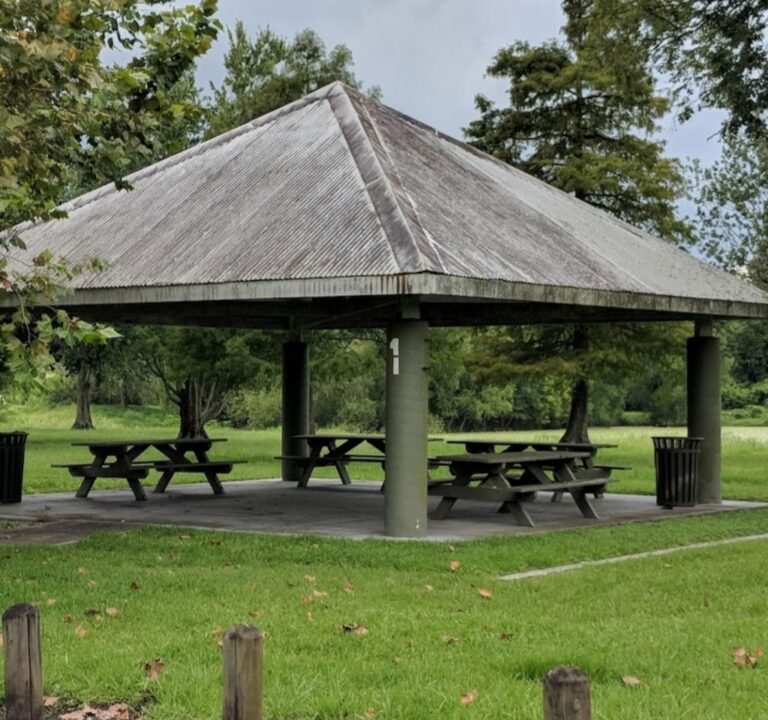 Soccer Field image 2