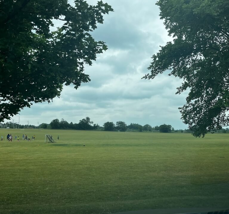 Soccer Field image 2