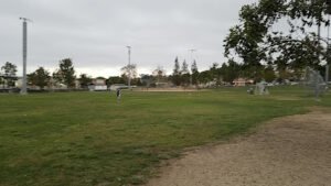 Soccer Field image 1