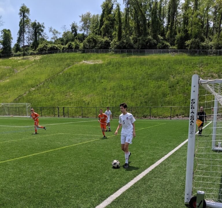 Soccer Field image 3