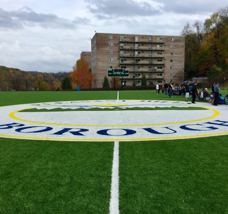 Soccer Field image 2