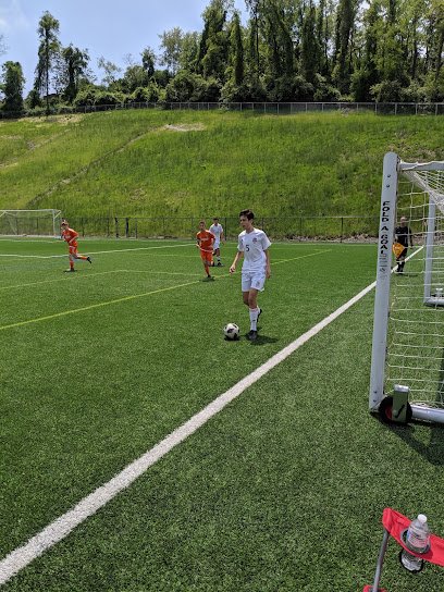 Soccer Field image 1