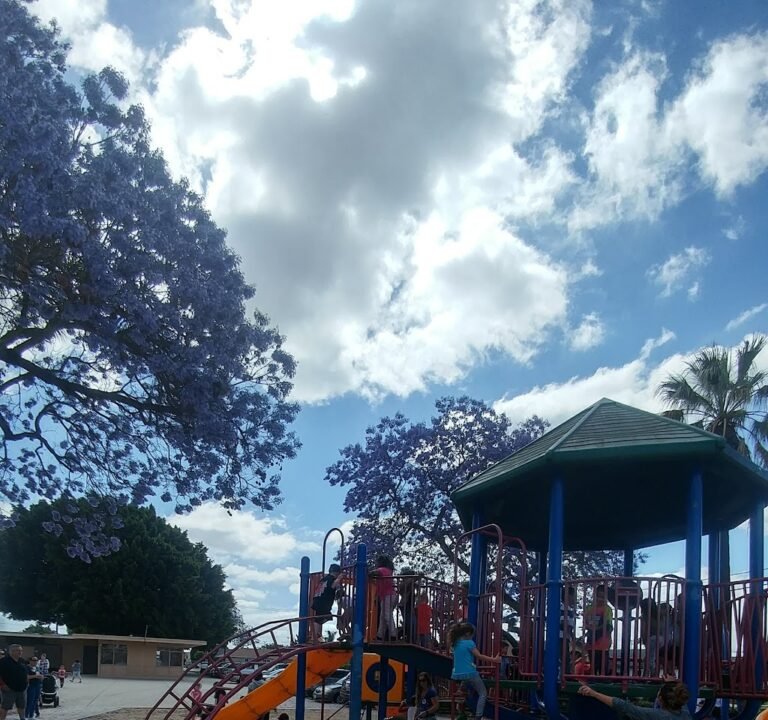 Soccer Field image 2