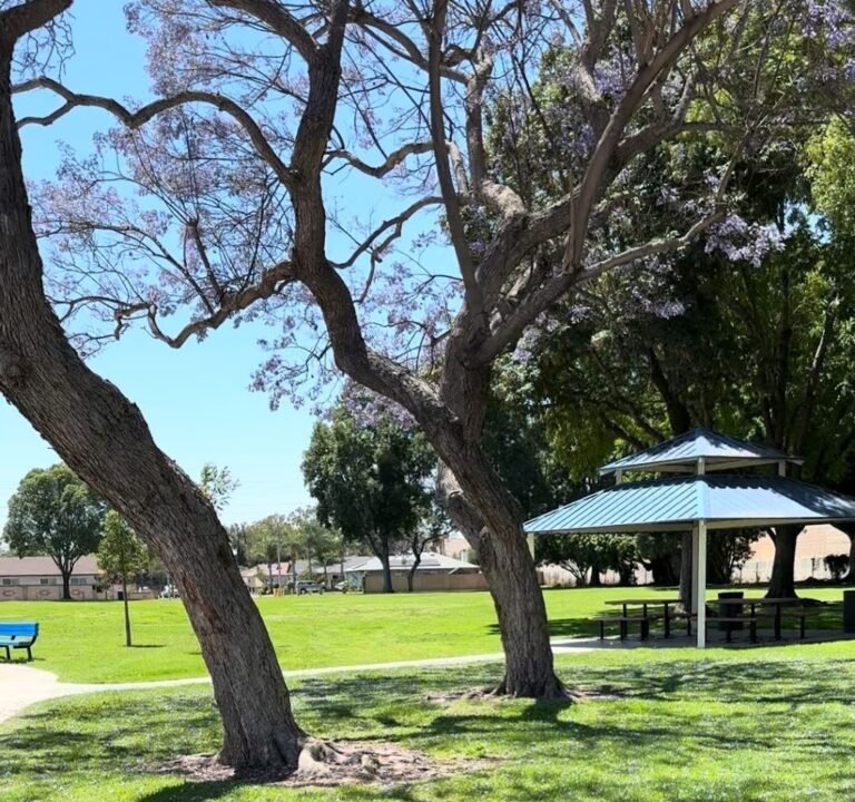 Soccer Field image 4