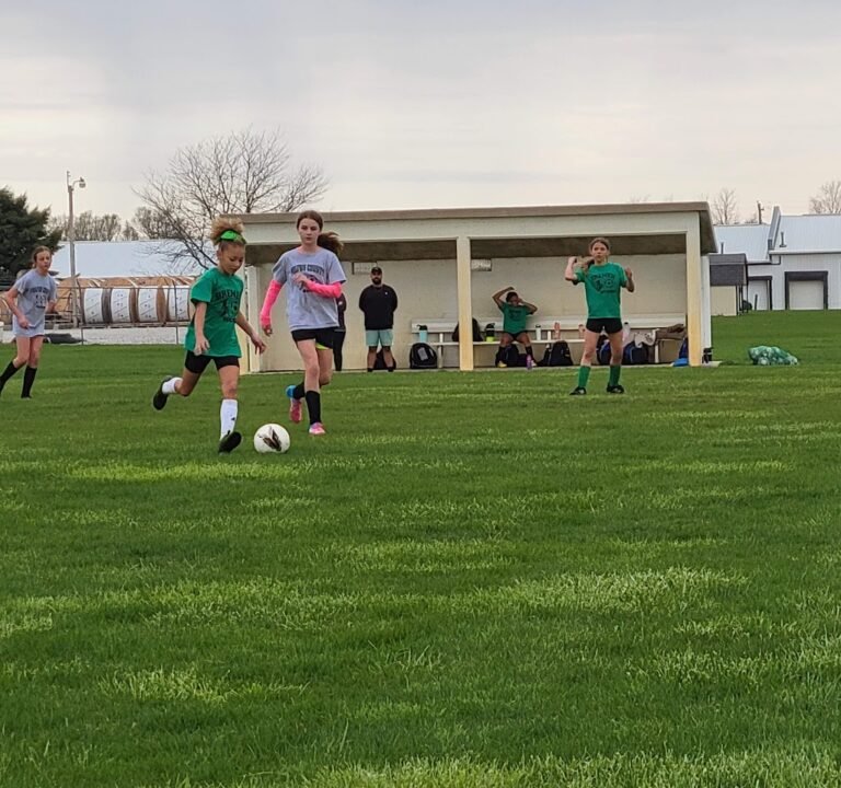 Soccer Field image 3