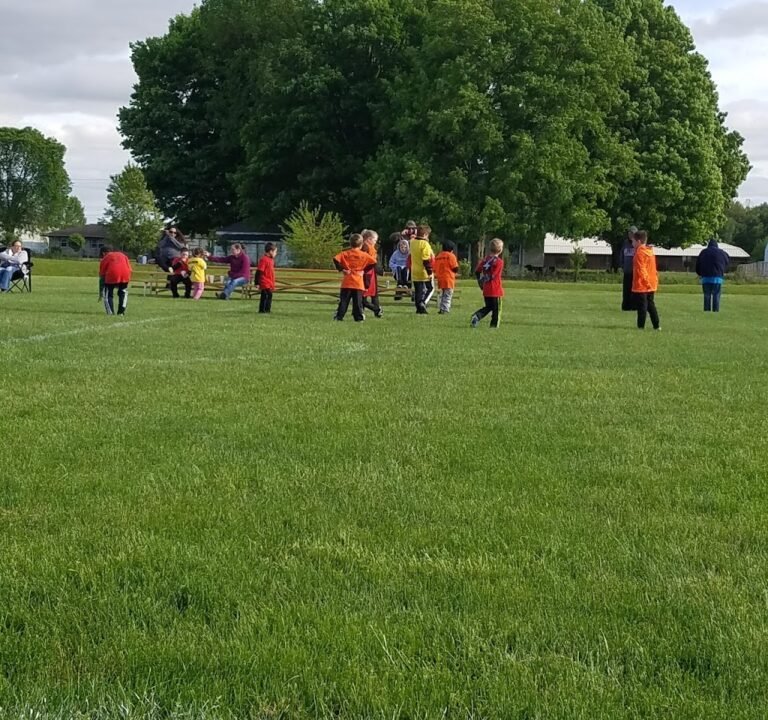 Soccer Field image 2